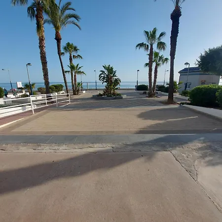 Torrox *