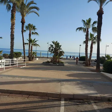Torrox *